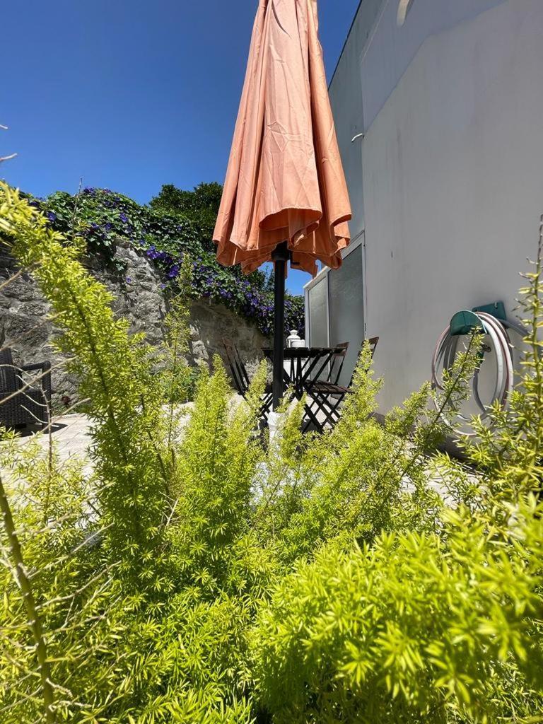 Burgaes II Apartment OOporto Extérieur photo